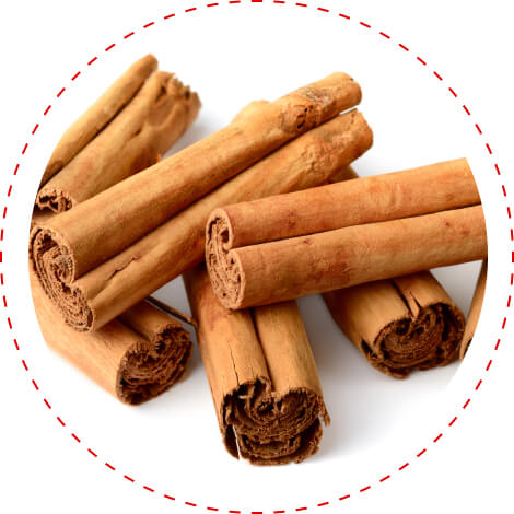cinnamon metabolic booster